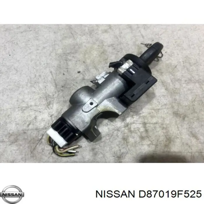 D87019F525 Nissan