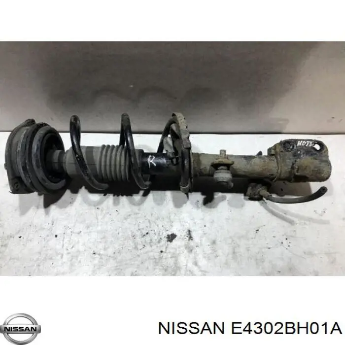 E4302BH01A Nissan