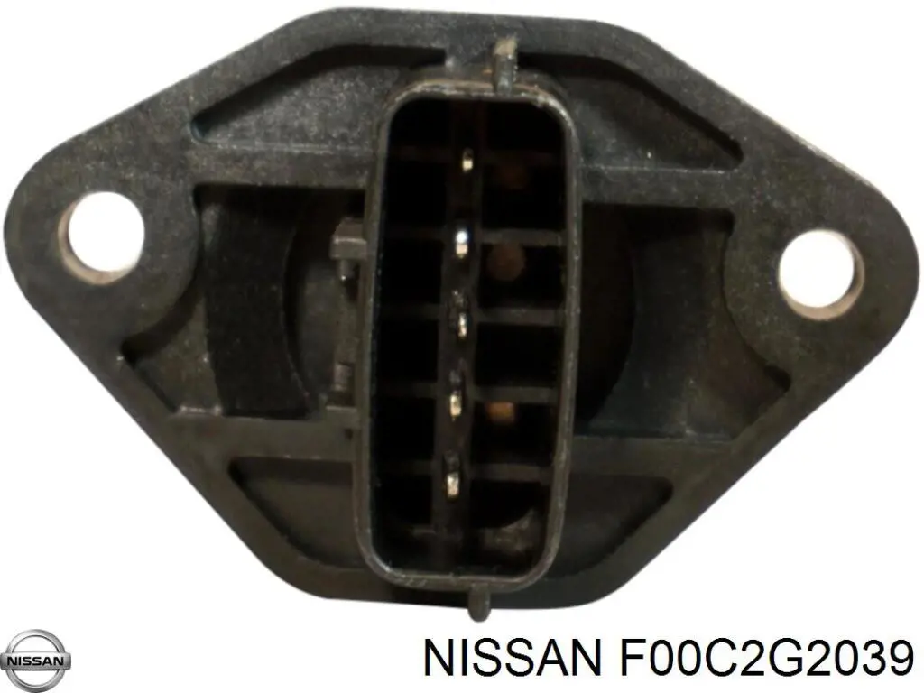 F00C2G2039 Nissan