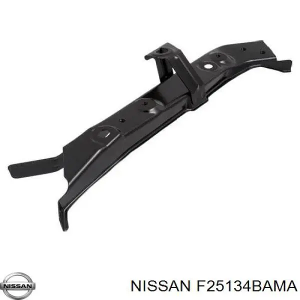 F25134BAMA Nissan soporte de radiador izquierdo (panel de montaje para foco)