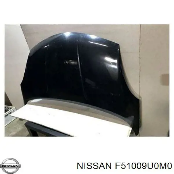 Capó del motor Nissan/Infiniti F51009U0M0 precio, desde 235,22 EUR