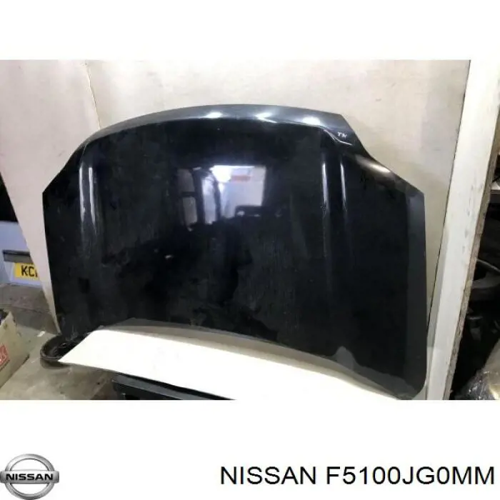 Capó del motor Nissan/Infiniti F5100JG0MM precio, desde 231,55 EUR