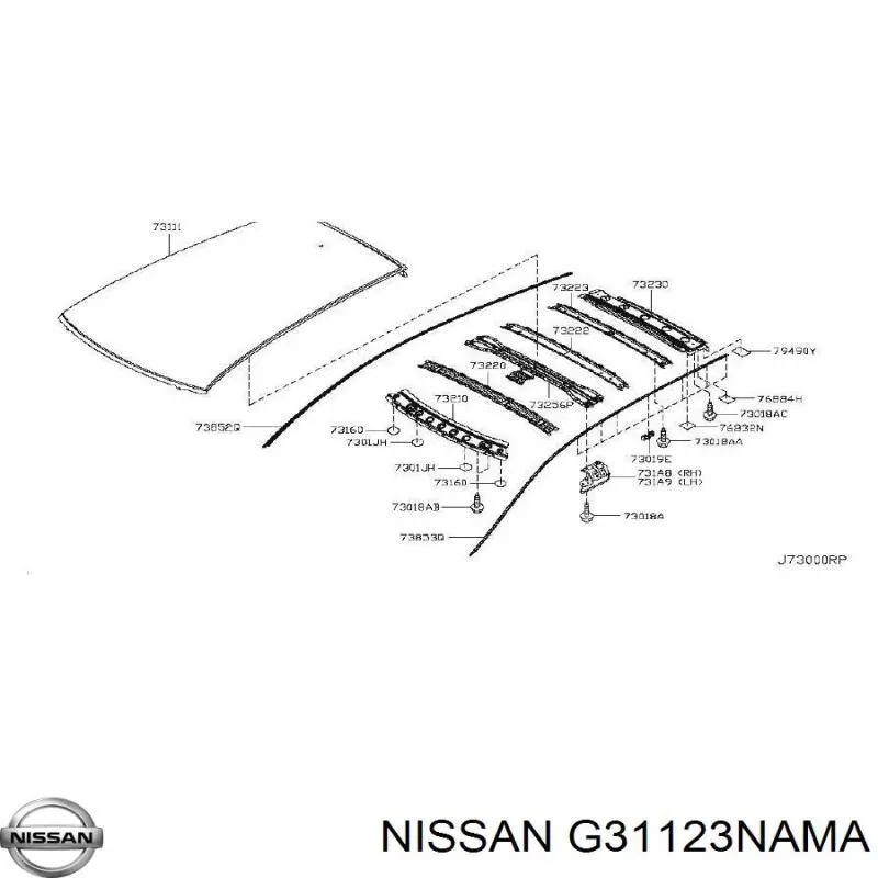 Techo de coche Nissan LEAF 1 (ZE0)