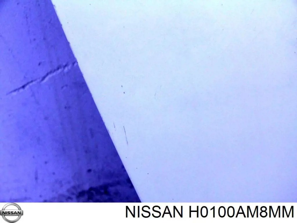 H0100AM8MM Nissan