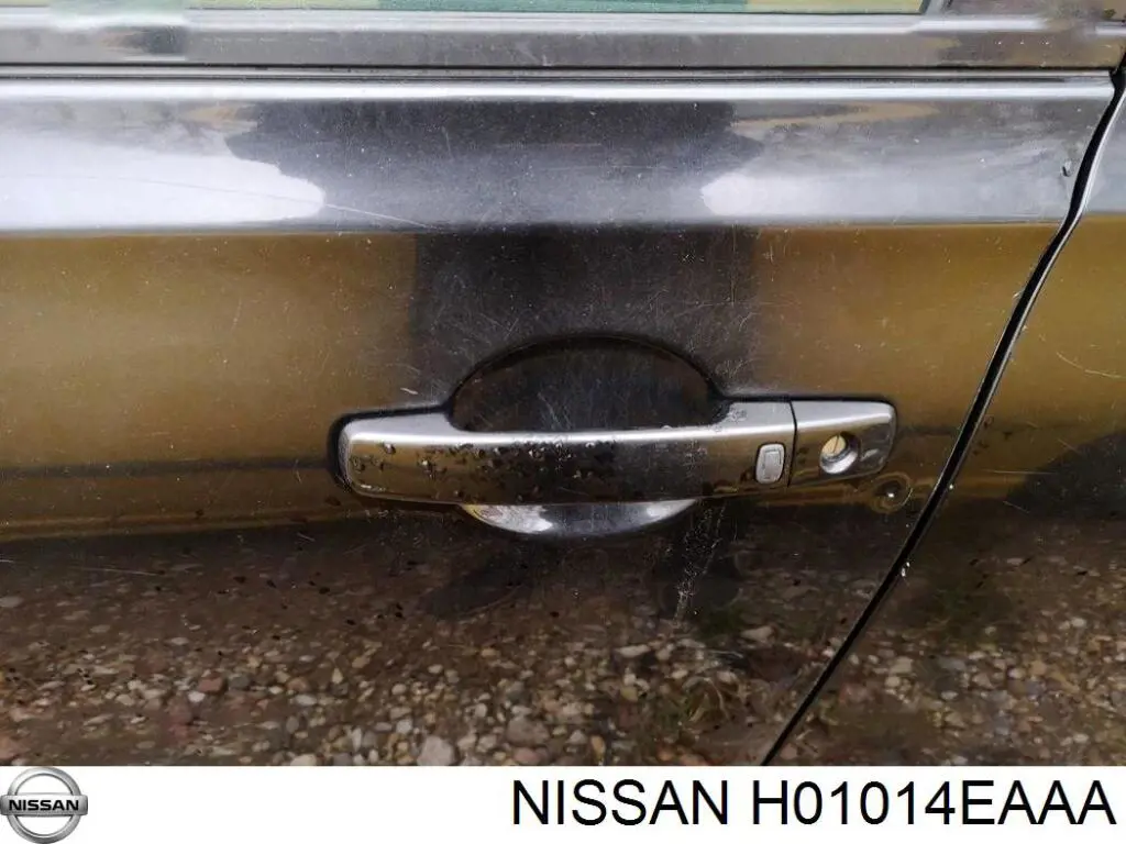 H01014EAAA Nissan puerta delantera izquierda