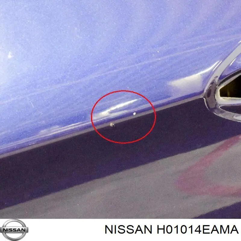 Puerta de coche, delantera, izquierda Nissan/Infiniti H01014EAMA precio, desde 694,24 EUR