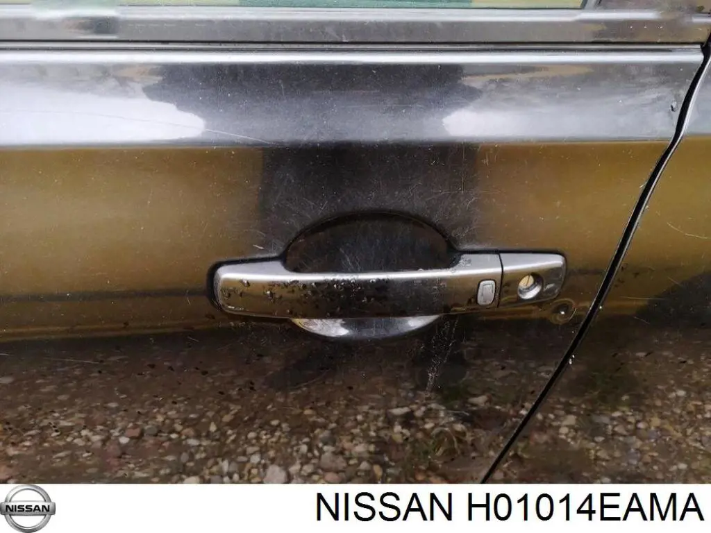 Comprar H01014EAMA Nissan/Infiniti Puerta delantera izquierda