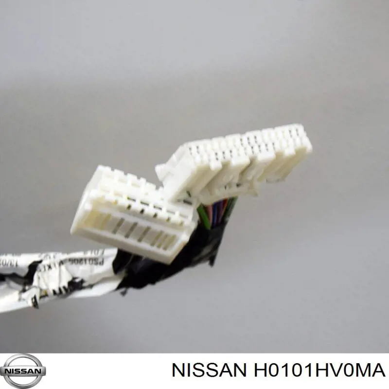 Puerta delantera izquierda Nissan Qashqai 2 J11