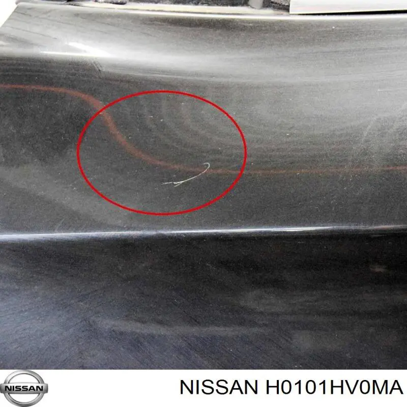 Puerta delantera izquierda Nissan Qashqai 2 J11