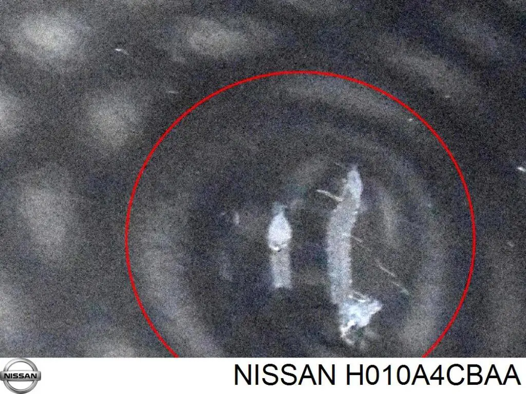Puerta de coche, delantera, izquierda Nissan/Infiniti H010A4CBAA precio, desde 618,55 EUR