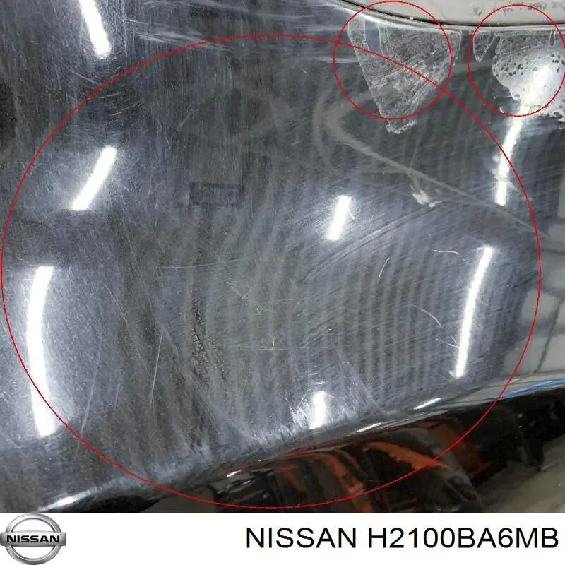 Puerta trasera derecha Nissan/Infiniti H2100BA6MB precio, desde 418,18 EUR