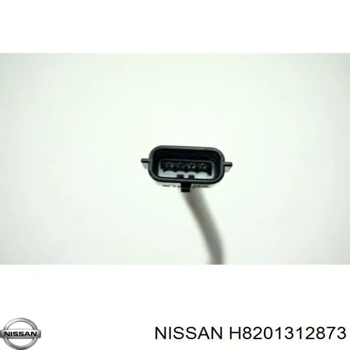  H8201312873 Nissan/Infiniti