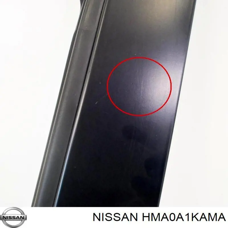  Puerta delantera izquierda Nissan JUKE 
