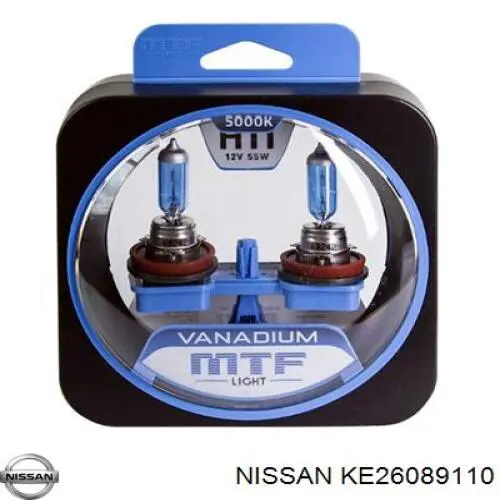 Bombilla Nissan Terrano 2 R20