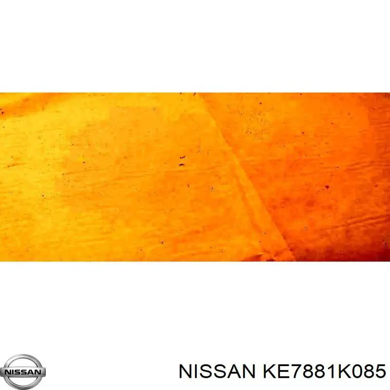 Juego de faldillas guardabarro delanteros para Nissan JUKE (F15E)