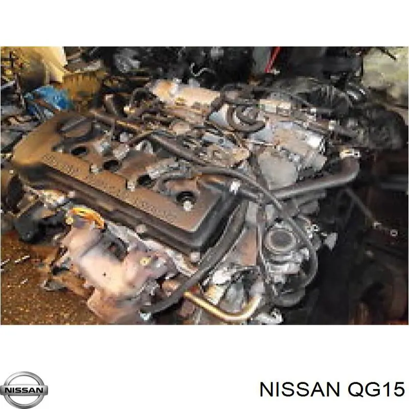QG15 Nissan/Infiniti Motor completo