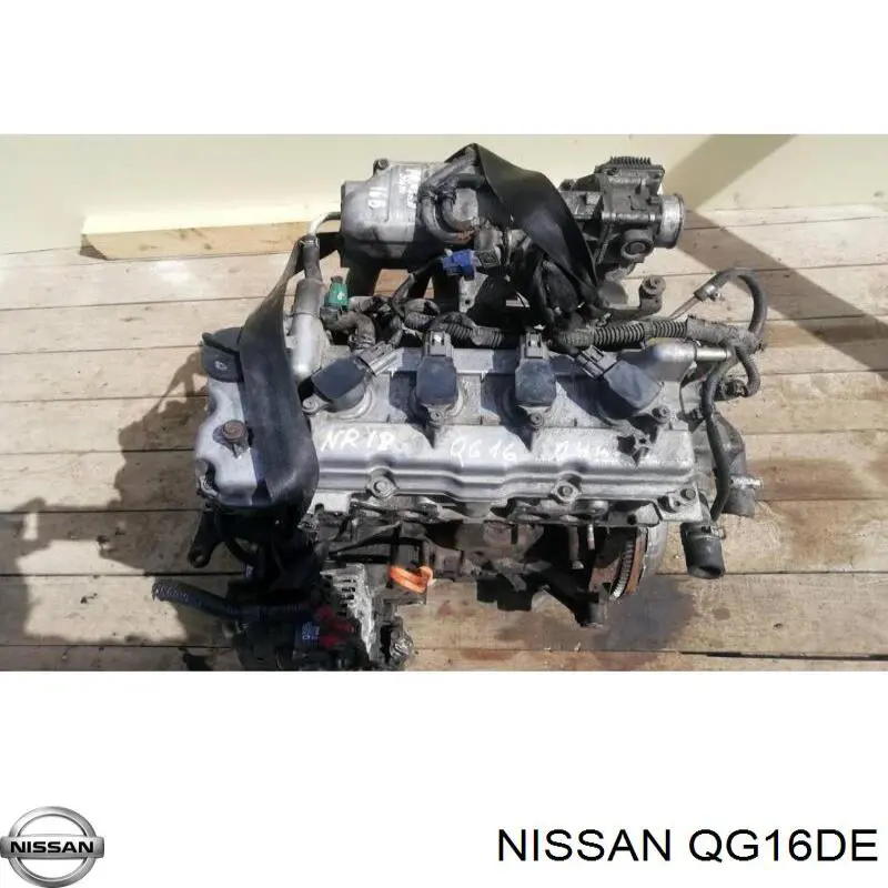 QG16DE Nissan/Infiniti Motor completo