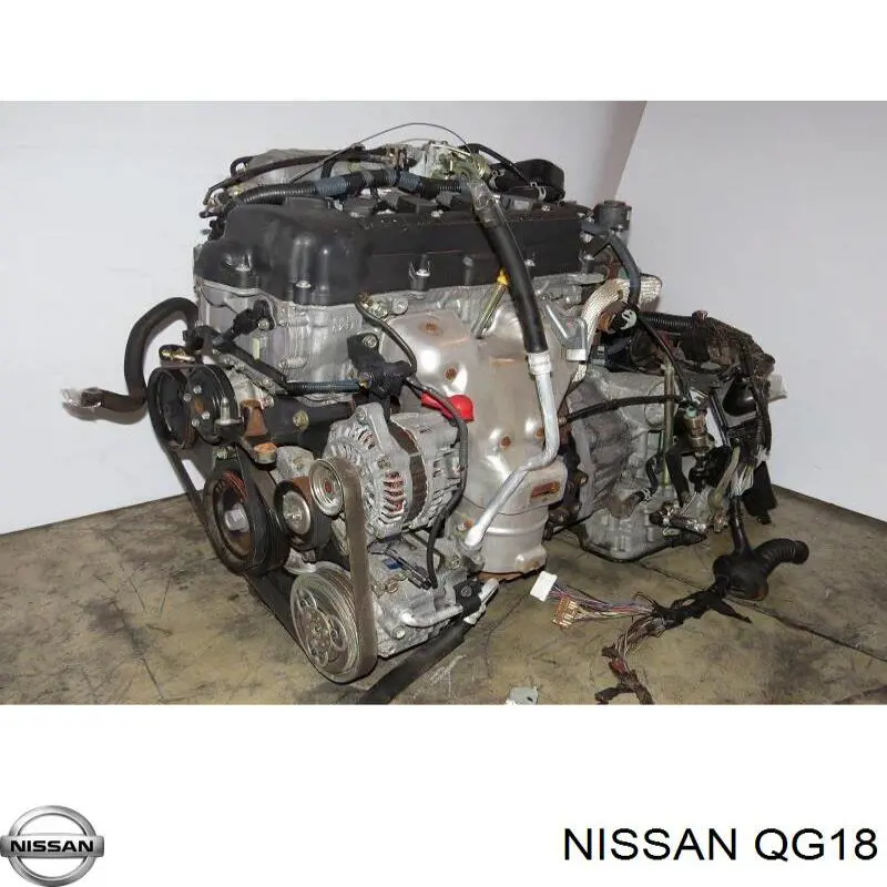 Comprar QG18 Nissan/Infiniti 