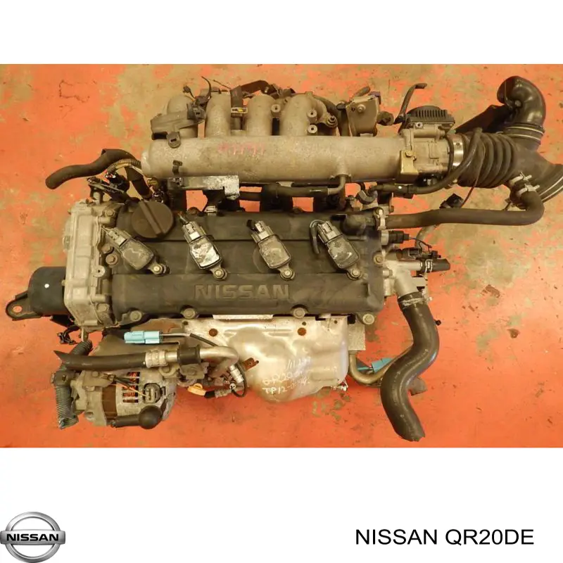 Comprar QR20DE Nissan/Infiniti Motor completo