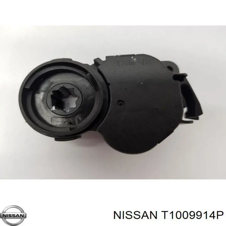 T1009914P Nissan