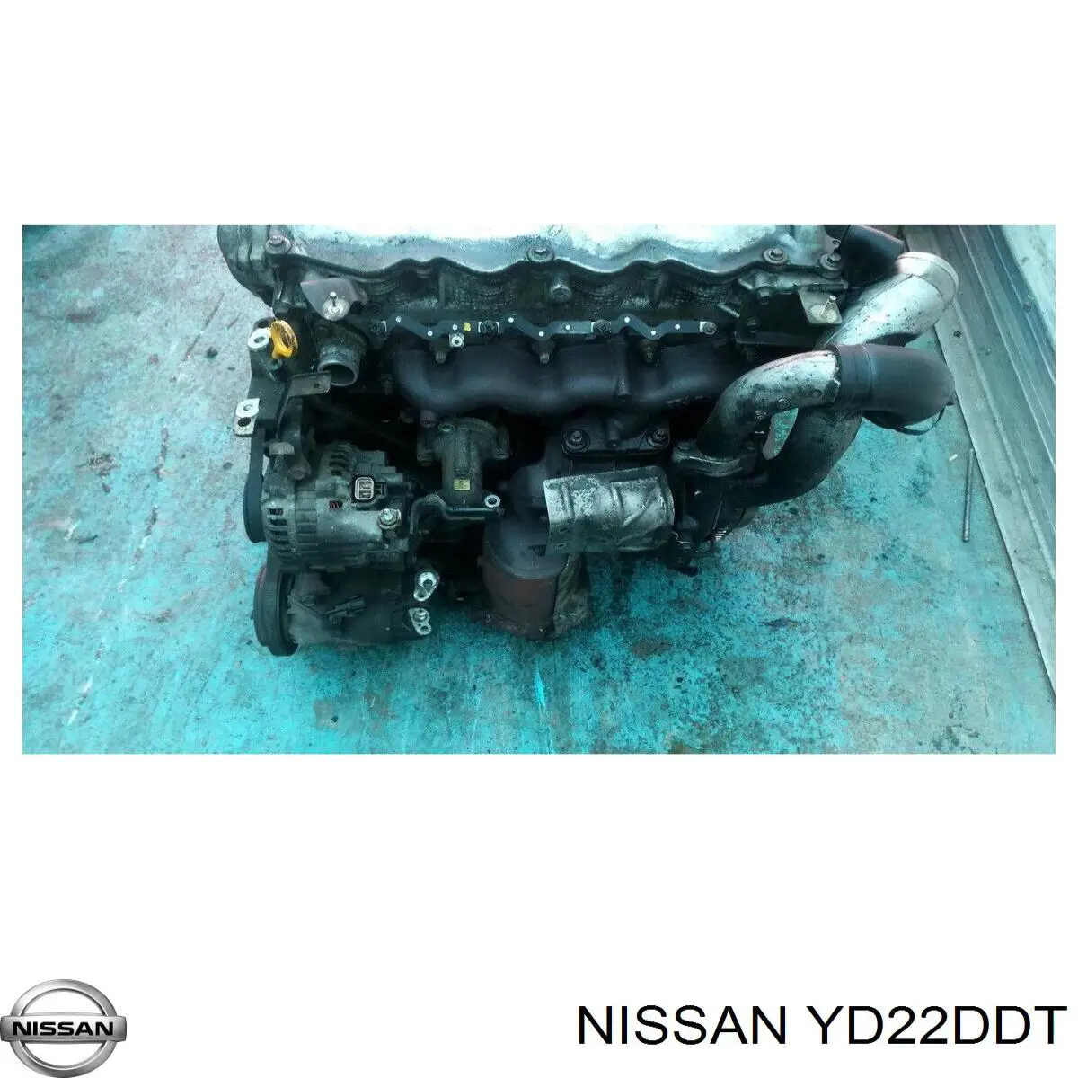 YD22DDT Nissan motor completo