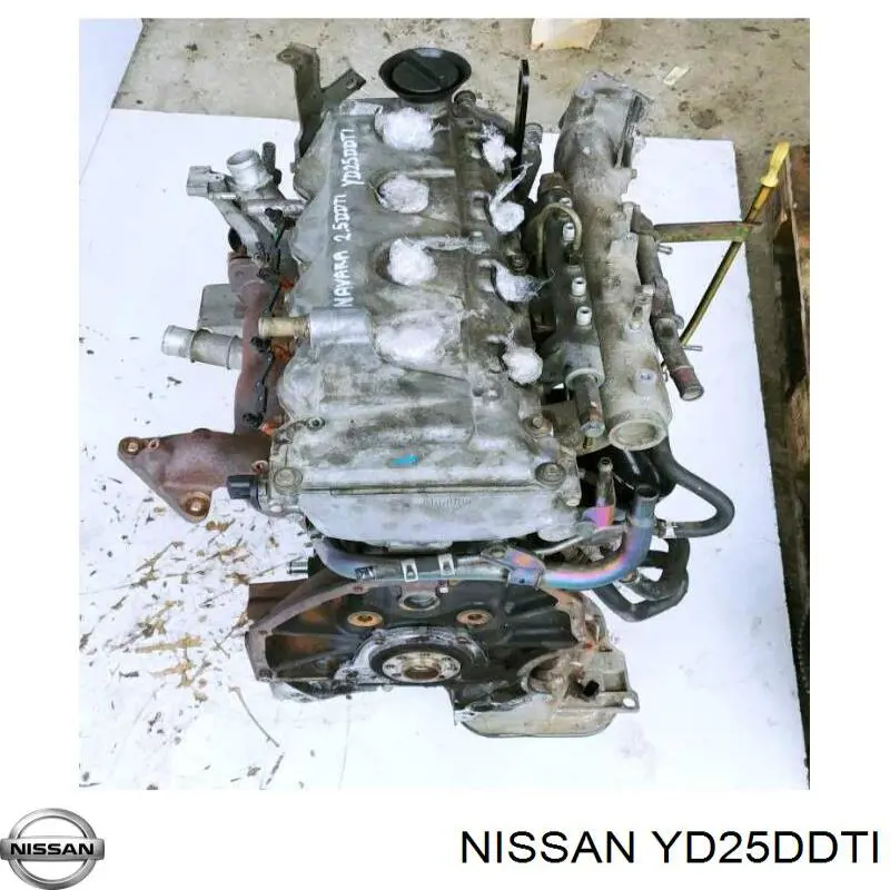 YD25DDTI Nissan/Infiniti Motor completo