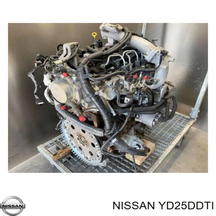 Motor completo Nissan/Infiniti YD25DDTI precio, desde 3675,38 EUR