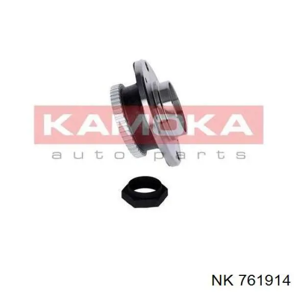 Cubo de rueda trasero 761914 NK