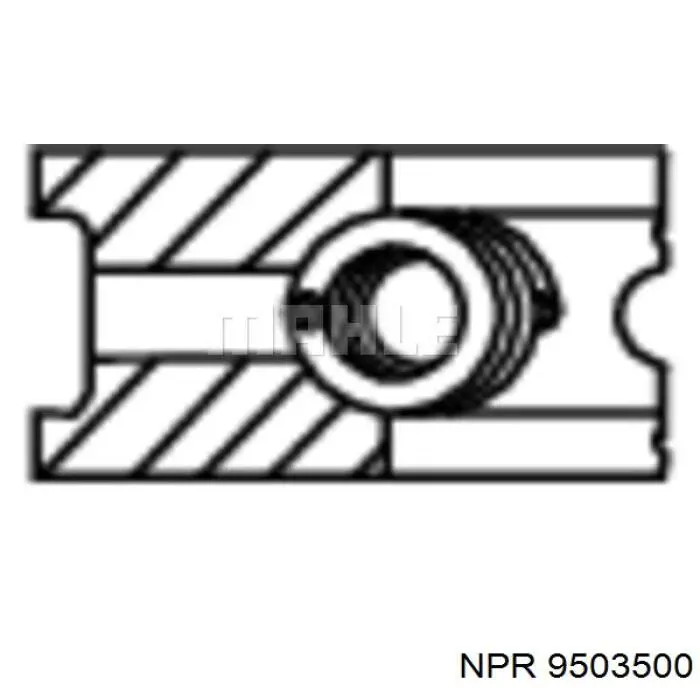 9503500 NE/NPR juego de aros de pistón para 1 cilindro, std