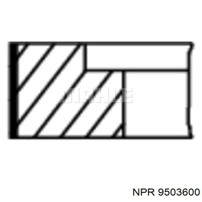 9503600 NE/NPR juego de aros de pistón para 1 cilindro, std