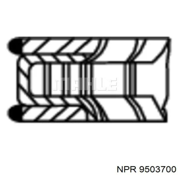 9503700 NE/NPR juego de aros de pistón para 1 cilindro, std