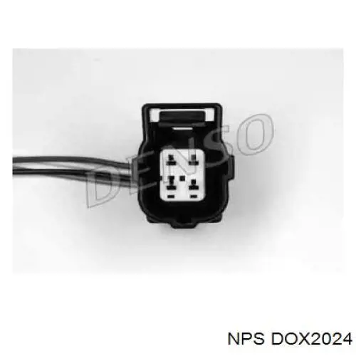 DOX2024 NPS