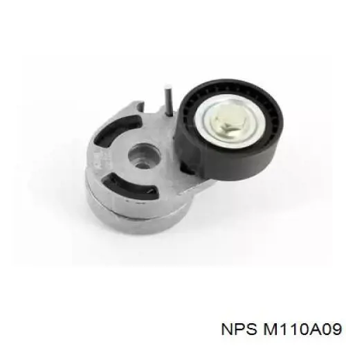 Rodillo tensor correa poli V Asam 55602 precio, desde 17,95 EUR