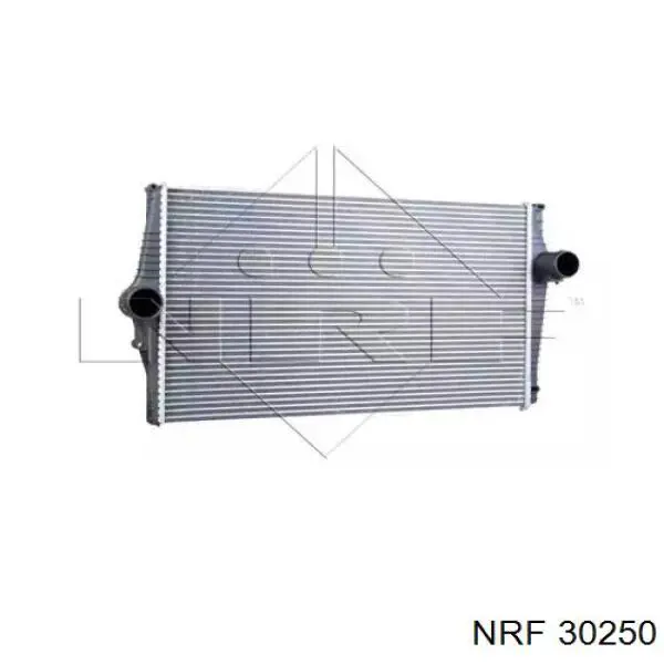 Enfriador de aire de admisión Volvo 30748808