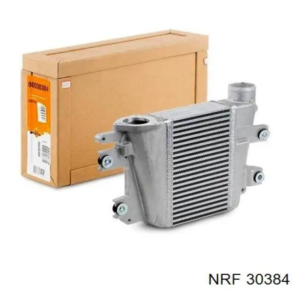 Radiador de aire de admisión para Nissan Terrano (R20)
