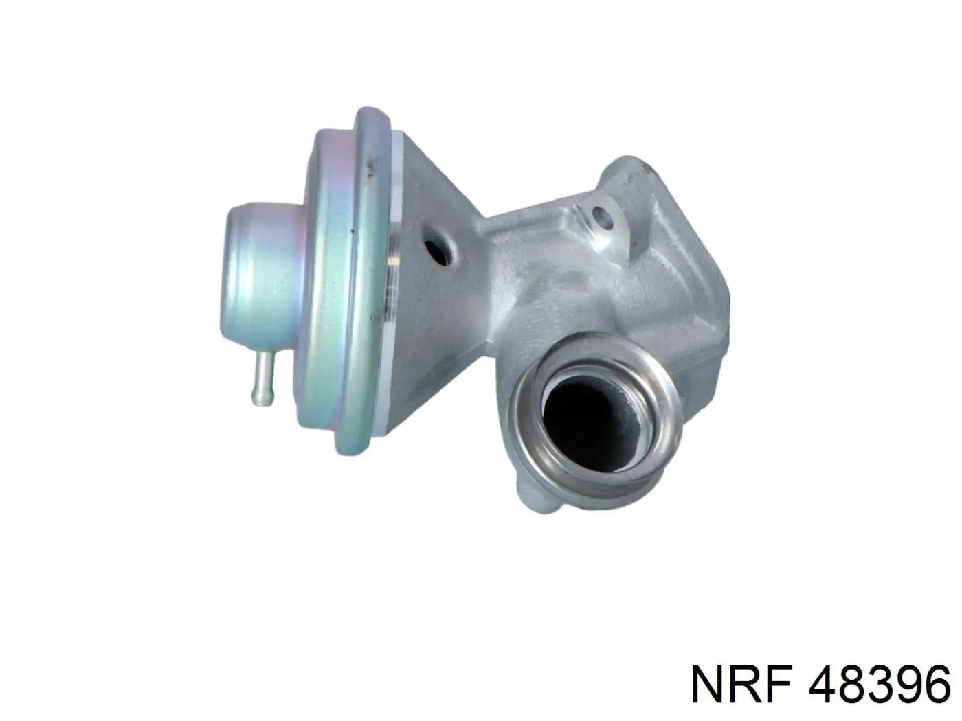 48396 NRF Válvula EGR