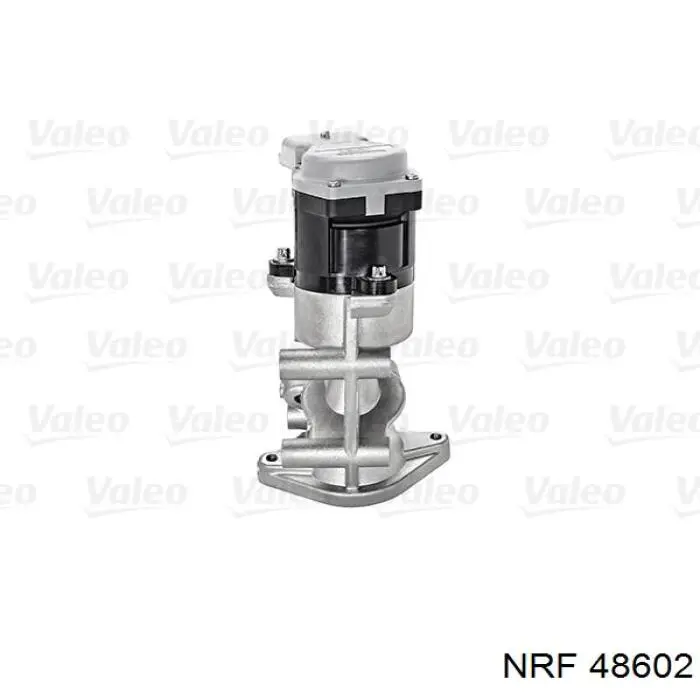 EGR NRF 48602