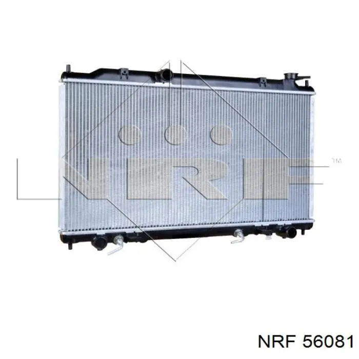 56081 NRF Refrigeración del motor