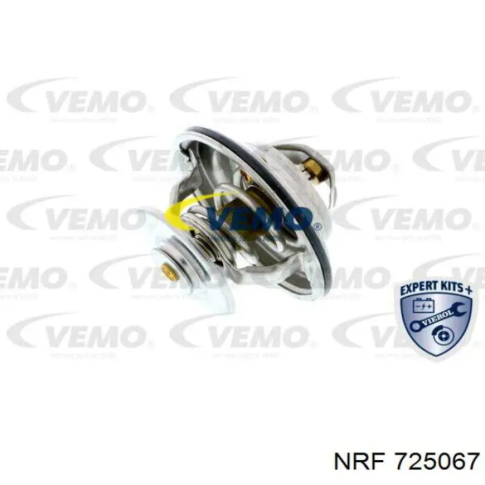 1025491 Ford termostato, refrigerante