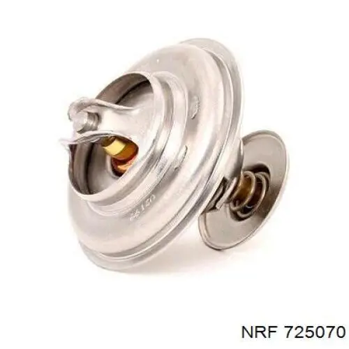 725070 NRF Termostato de agua