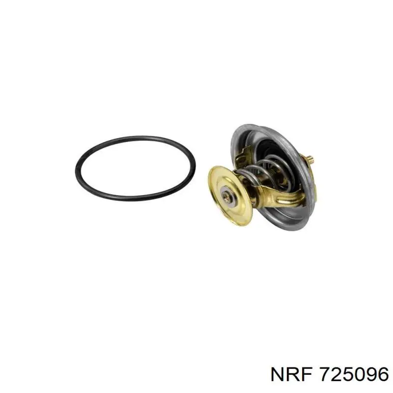 725096 NRF Termostato de agua