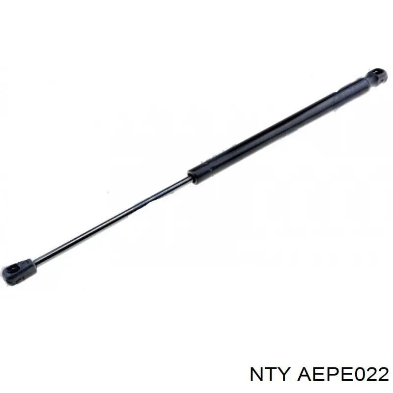AEPE022 NTY Amortiguador de porton
