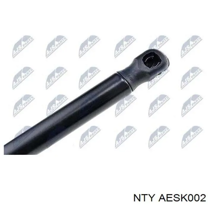 Comprar AESK002 NTY Amortiguador de puerta trasera