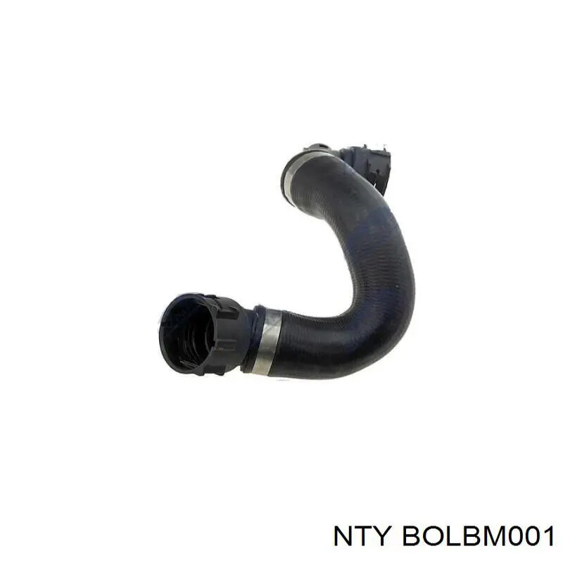 Varilla de aceite BOLBM001 NTY