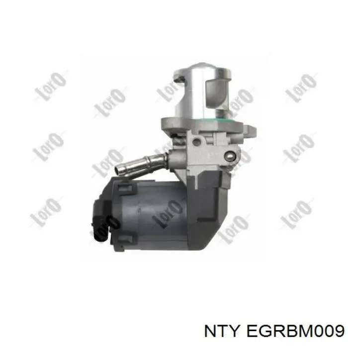 EGR NTY EGRBM009