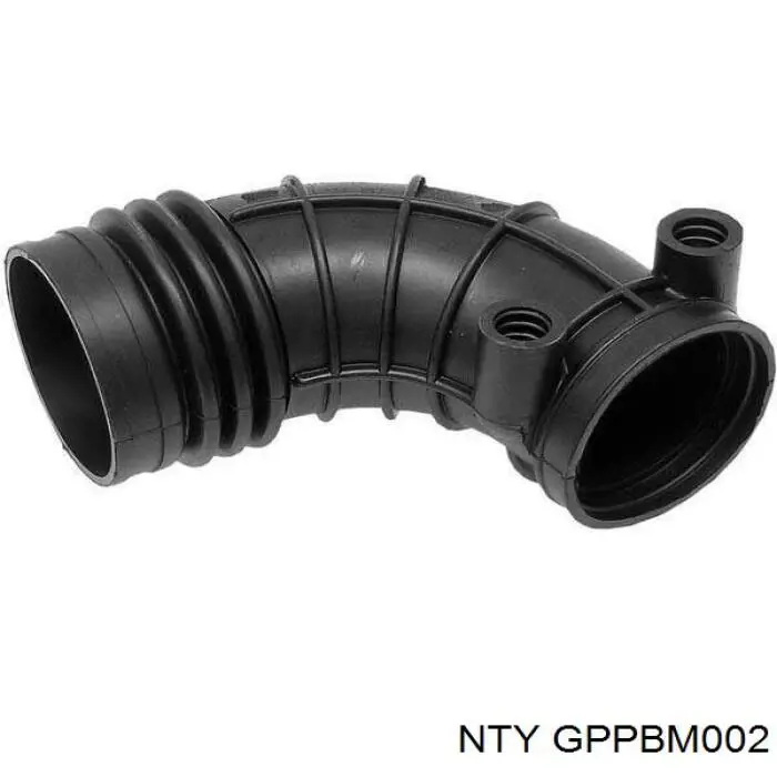 Manguito de aire del medidor de masa de aire BMW 1740073