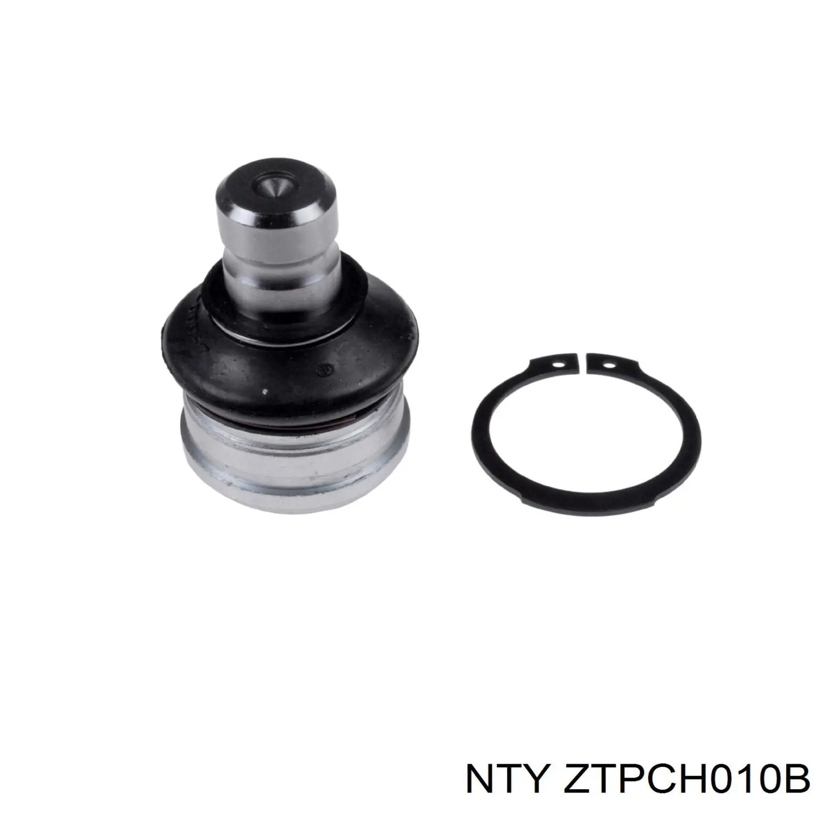  NTY ZTPCH010B precio, desde 6,04 EUR