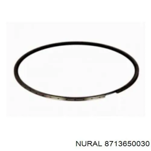 8713650030 Nural pistón completo para 1 cilindro, std