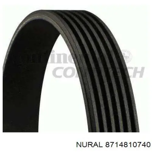 Pistón completo para 1 cilindro, segunda reparación (+0,50 mm) Nural 8714810740 precio, desde 110,82 EUR