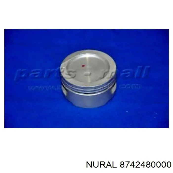 8742480000 Nural Pistón